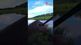 Ловля щуки на ЖАБУ неЗАЦЕПЛЯЙКИ с дополнительным тройником. #shorts #fishing #рыбалка #щука #рыба