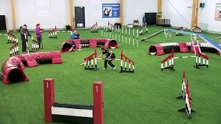 International Agility Training Week - Backside jump with trap obstacle - preview