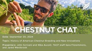 Chestnut Chat: The History of American Chestnut Breeding and New Innovations