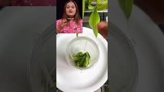 Deepika Padukone's secret Juice for Glowing Skin | By Celebrity Nutritionist Shweta Shah