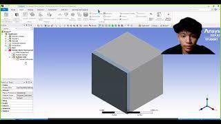 HEAT TRANSFER PROJECT USING ANSYS