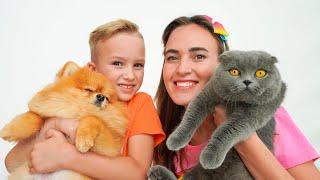 Vlad and Mom exchanged cat and dog pets - Funny stories for kids