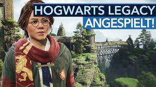 Nach einer Stunde Gameplay sind wir noch nicht so ganz überzeugt! - Hogwarts Legacy angespielt