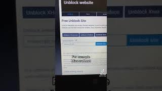website unblocker