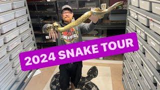 2024 Reptile Room Collection TOUR . AMAZING PYTHONS !! Boa Constrictors