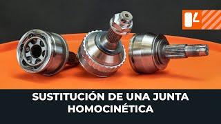 Сómo cambiar una junta homocinética [VÍDEO TUTORIAL DE AUTODOC]