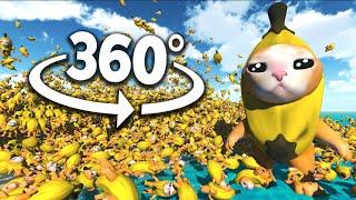 Banana Cat 50,000 TIMES! 360° | VR/360° Experience