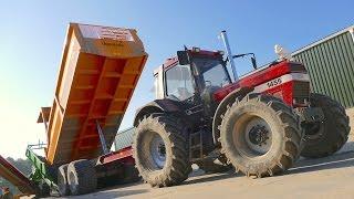 Potato Harvest 2015 / Aardappels rooien | Grimme GV3000 / Case IH 1455 - Gebr. Vos Dinteloord