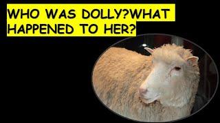 WHO WAS DOLLY THE SHEEP?AND WHAT HAPPENED TO HER?