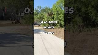 0.65 acres in Florida for $34,900 #florida #shorts #realestate #foryou #land #property #realtor #fyp