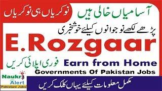 E Rozgaar training program 2019 | You can Earn Rs 80,000 | online earning in pakistan