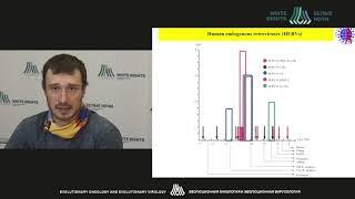 The expression analysis of Endogenous Human Retroviruses depending on their evolutionary novelty