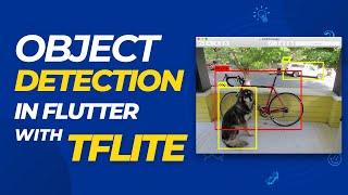 Object detection App in Flutter with TFLite - بالعربي