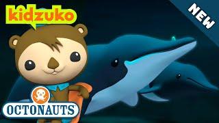 @Octonauts -  THE WHALES OF MYSTERY  | BRAND NEW | Season 5 | Full Episode 5 | @Kidzuko Exclusive!