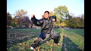 An Wushu - Bagua Zhang and Baji Quan clip compilation