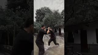 Is this the impression of Chinese martial arts for everyone?" #kungfu