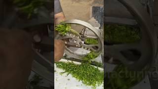 How Vegetable Cutters Are Made #vegetablecutter #shorts #manufacturing