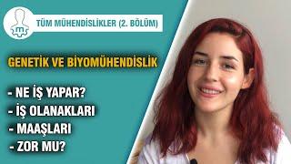 Genetik ve Biyomühendislik İş İmkanları Nelerdir? Ne İş Yapar? Maaşları Nasıldır? (YKS Tercih 2024)