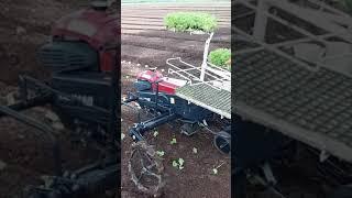 Our vegetable transplanters will help your heavy vegetable farming work. #shorts #agrimachinery