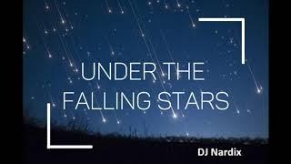 Under the falling stars [OFFICIAL SONG] - DJ Nardix