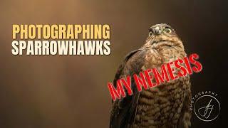 Photographing Sparrowhawk & Buzzard || Wildlife Photography Hides (Bourne) || Sony A1 + 400mm f2.8