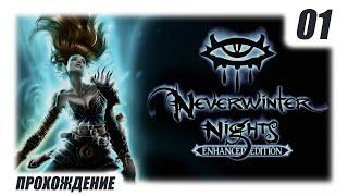 Neverwinter Nights | Паладин | Создание персонажа | 01