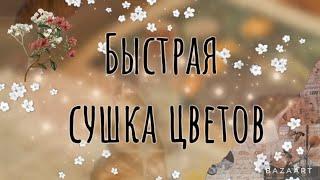 СОБИРАЮ РАСТЕНИЯ ДЛЯ ТРАВНИКА| Как сушить цветы для травника? | Видео для травниц и ведьм