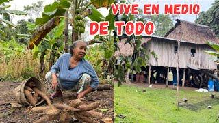 Viven en MEDIO DE LA SELVA en su casita de MADERA y son MUY FELICES Josué y Elie