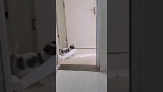 I've been wondering why things keep vanishing from my house... 