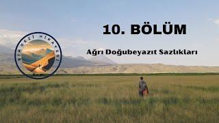 Ağrı Doğubeyazıt Sazlıkları | 10. Bölüm - Bir Gezi Hikayesi