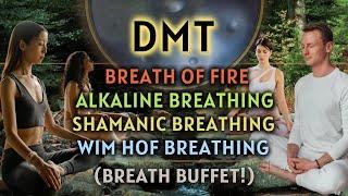 [BREATH BUFFET!] DMT Breathing - 60s Breathholds (3 Guided Rounds)