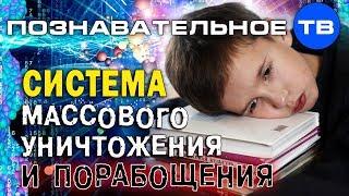 Система массового уничтожения и порабощения (Познавательное ТВ, Владимир Базарный)