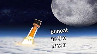 buncat to the moon