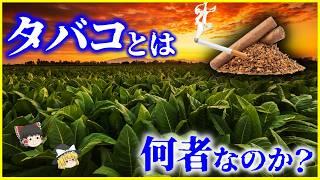 【ゆっくり解説】人類を魅了した葉っぱ…「タバコ」とは何者なのか？を解説/煙草と人類の歴史…進化の中でタバコが選んだニコチンという生存戦略