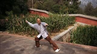 Shaolin Kung Fu Form - Da Tongbei Quan part1