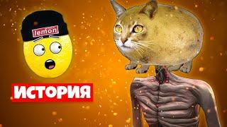 ИСТОРИЯ КОШКА КАРТОШКА