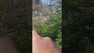 Ohio river flood  McAlpine Dam 4-9-2025