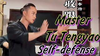 Wing chun self defense techniques compilation pt-29