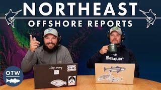 NIGHTTIME Tuna Chunk Bite FIRING UP | Northeast Offshore Fishing Report | September 11, 2024