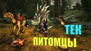 Приручение Тек Раптора и Стегозавра - ARK Aberration # 3