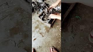 @suzuki samurai ka engine me baring kaise dalna  he ##