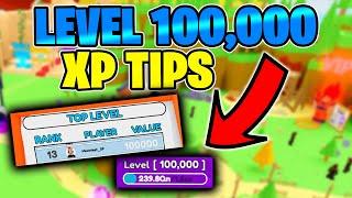 LEVEL 100,000! TIPS TO GAIN MORE XP... Slashing Simulator