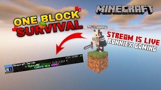 Surviving the Ultimate OneBlock Challenge on HylexMC!  | Minecraft Hindi