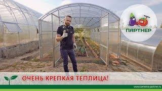 ОЧЕНЬ КРЕПКАЯ ТЕПЛИЦА!