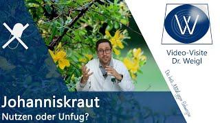 Johanniskraut vs. Antidepressiva: Pflanzliches Wundermittel bei Depression und wie harmlos wirklich?