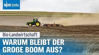 Bio-Landwirtschaft in Niedersachsen: Wo bleibt das erwartete Wachstum? | NDR Info