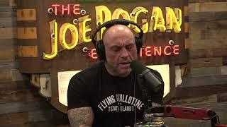 Joe Rogan Experience #2008 - Stephen C Meyer