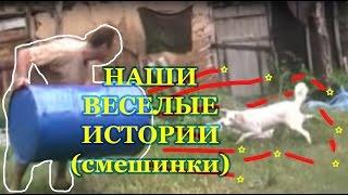 Наши веселые истории (смешинки)