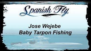 Baby Tarpon Fishing - San Felipe Mexico Baby Tarpon - Jose Wejebe  / Spanishflytv