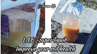 Gardening series ep02 -LAB Lactic Acid Bacteria -improve soil health |Natural Farming